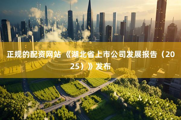 正规的配资网站 《湖北省上市公司发展报告（2025）》发布